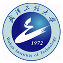 Universidad de Tecnología de Wuhan