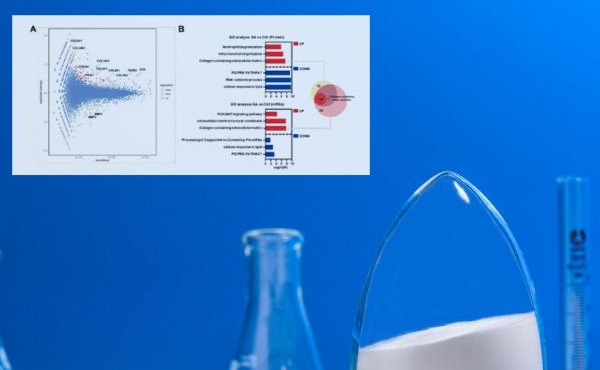 Revista de belleza de renombre internacional "Sofw Journal": Tecnología Omics y ácido N -acetilneuramínico: decodificación de los secretos de la piel juvenil