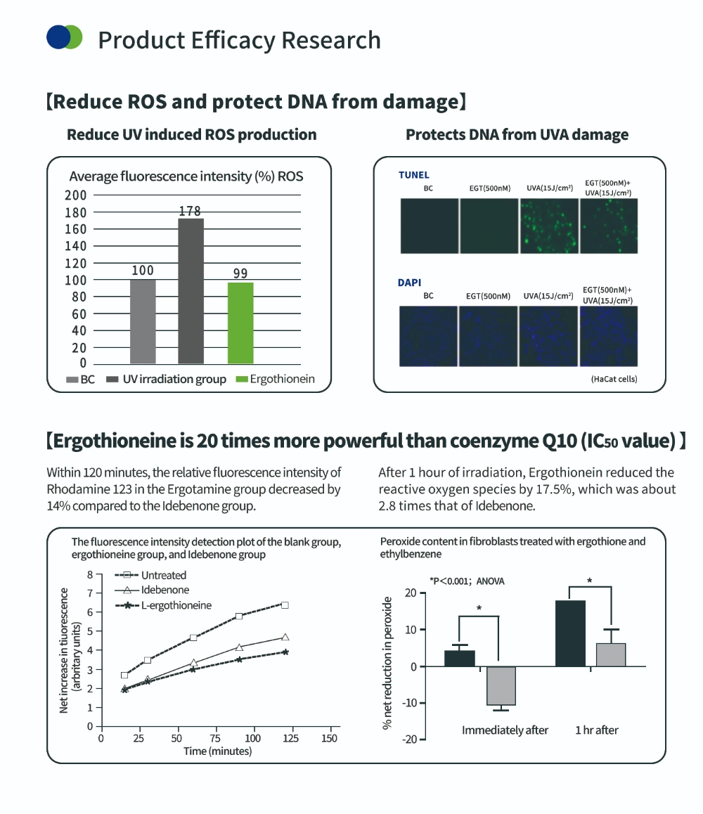 Compuesto antioxidante ergotioneína
