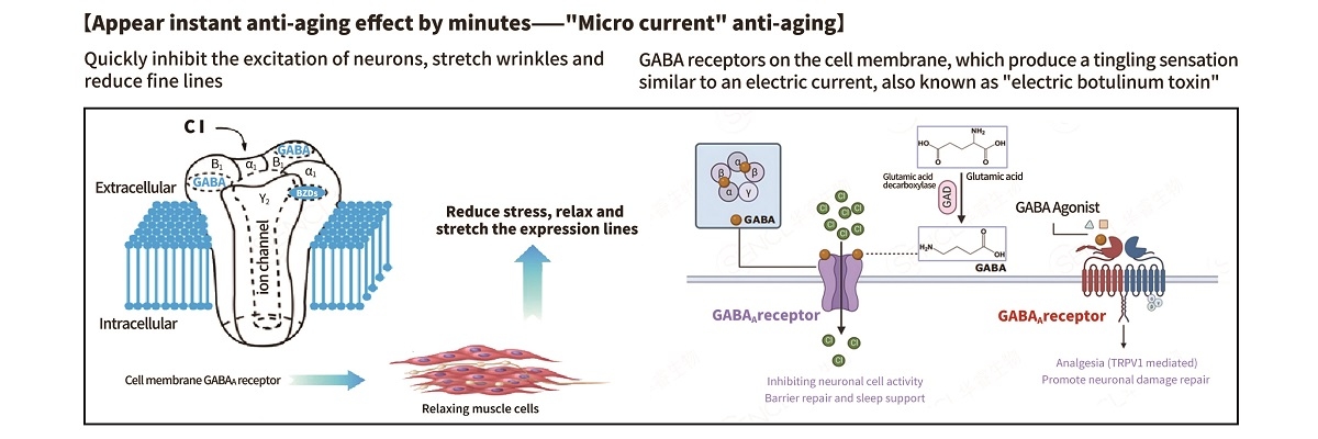 Efectos antienvejecimiento instantáneos: GABA como relajante muscular natural